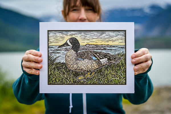 Blue-winged Teal Print