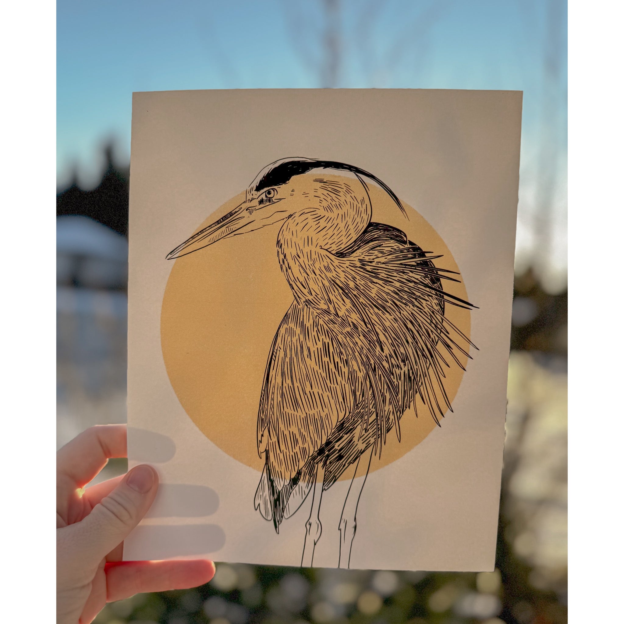 Golden Heron