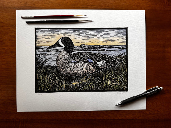 Blue-winged Teal Print