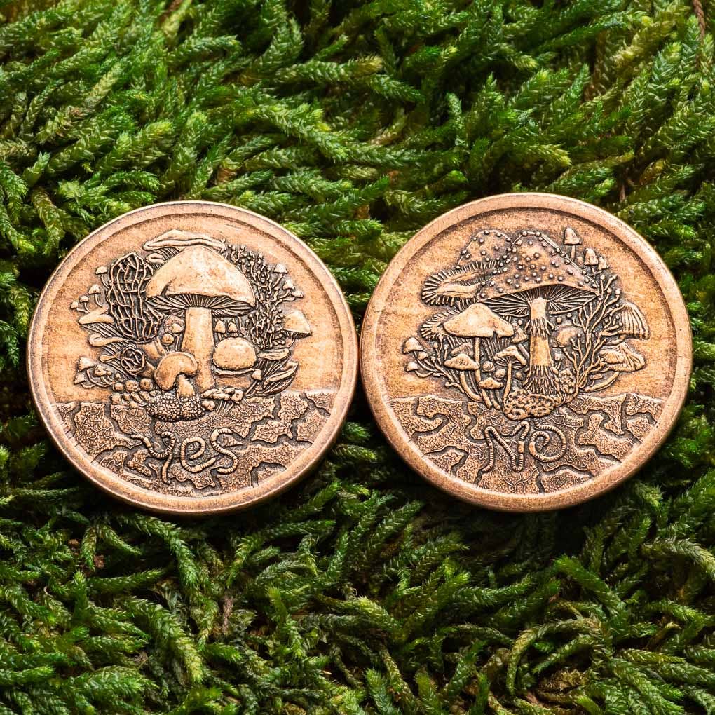 Fungible Token Decision Maker Coin