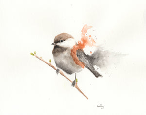 Watercolor 8”x10” Chestnut Backed Chickadee