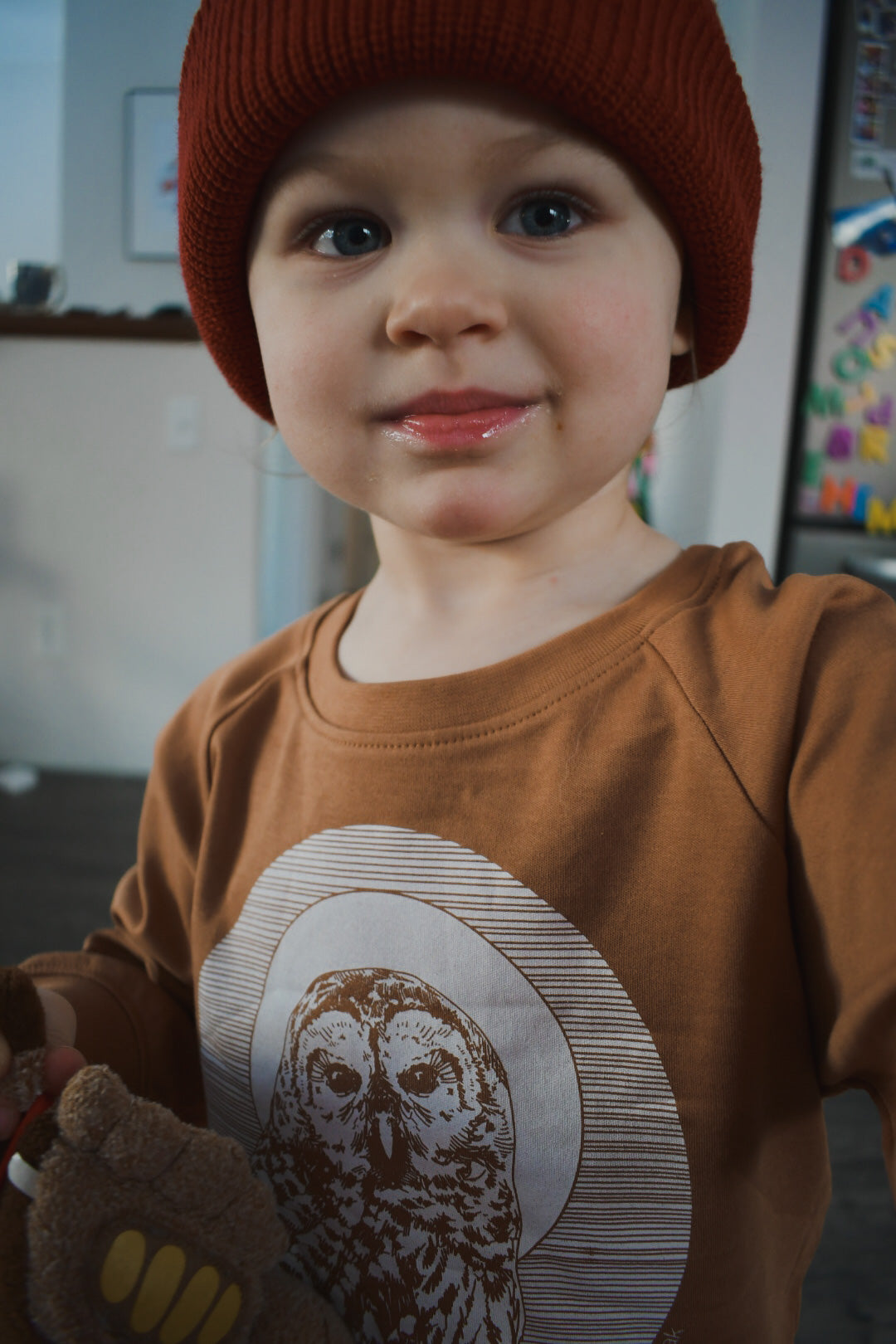 Owl Toddler Pullover Long Sleeve