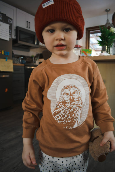 Owl Toddler Pullover Long Sleeve