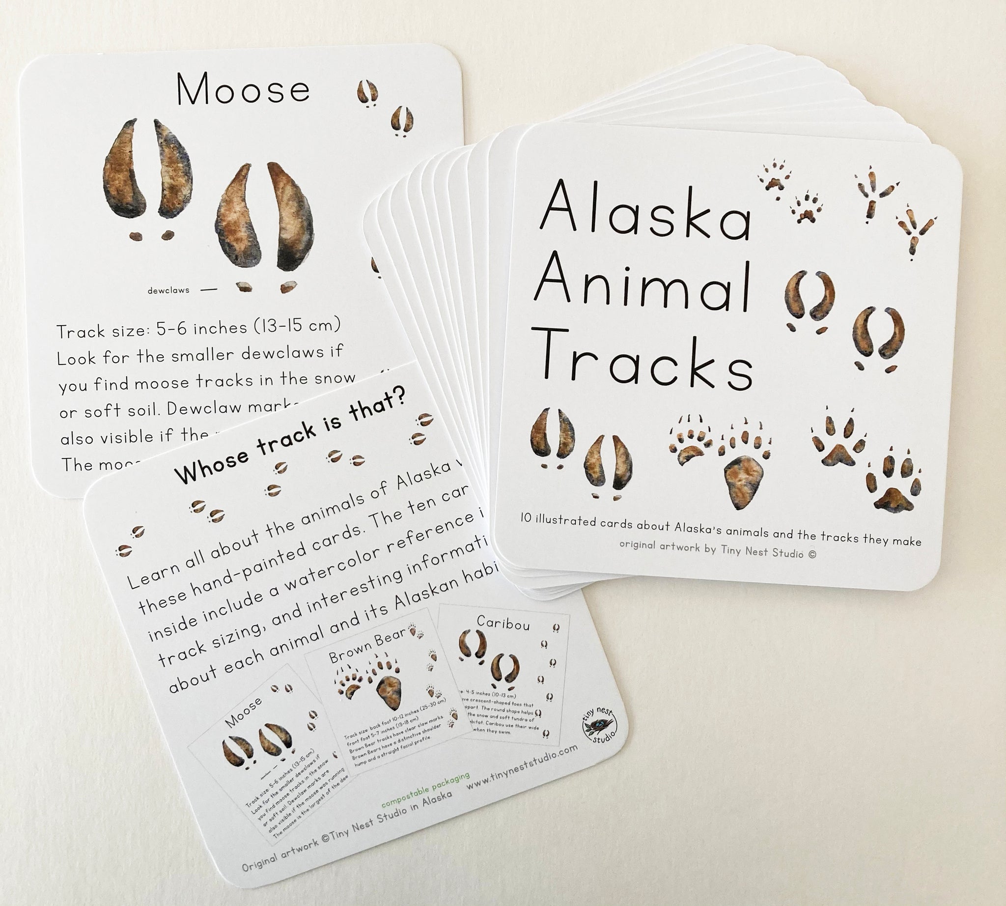 Tiny Nest Studio Learning Cards