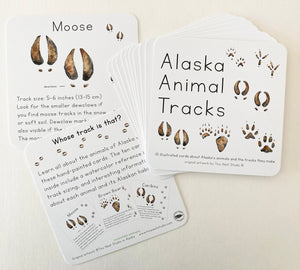 Tiny Nest Studio Learning Cards