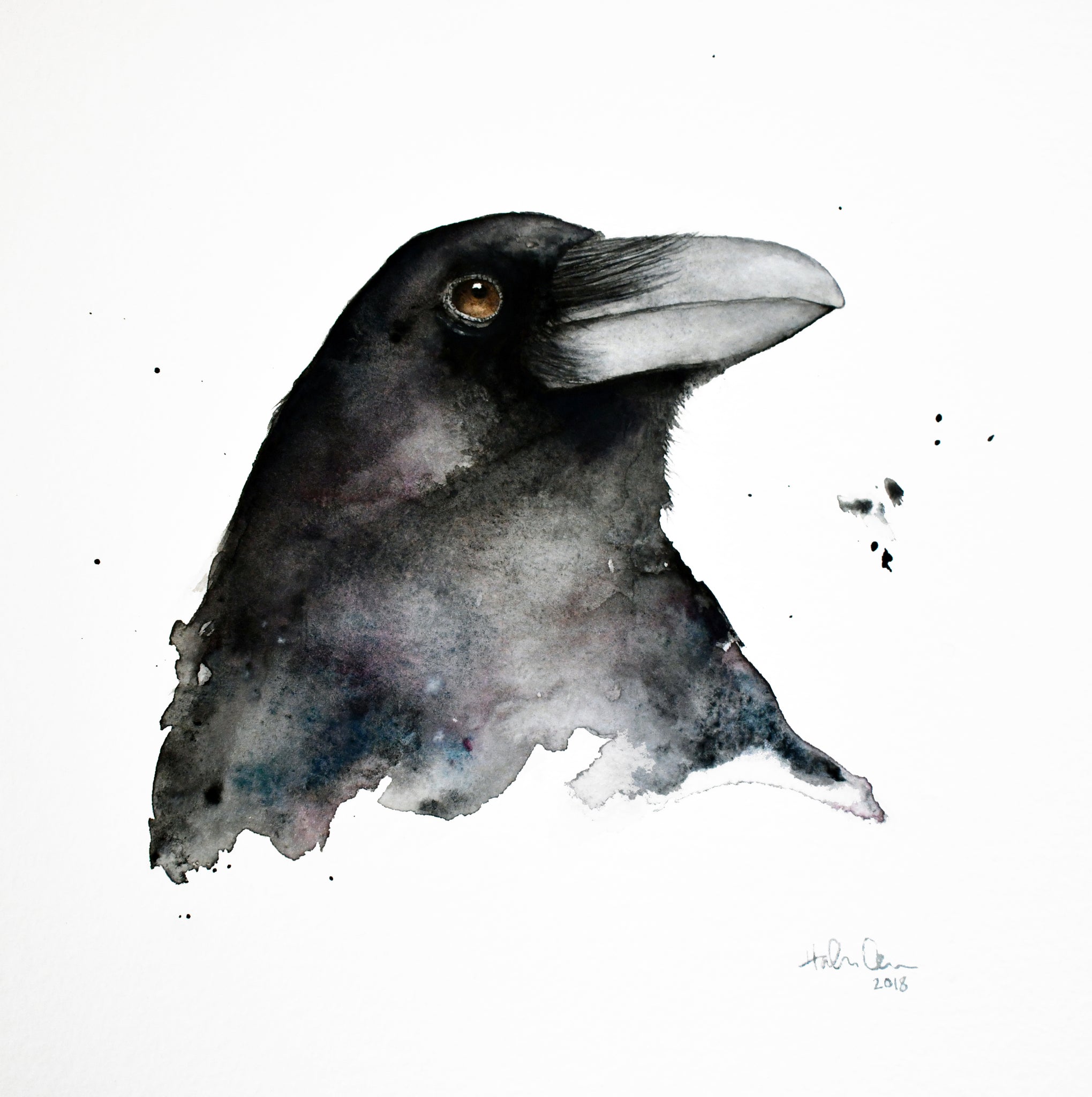 Watercolor 10"x10" Raven III