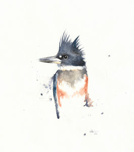 Watercolor 8”x10” Belted Kingfisher
