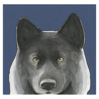 Watercolor Romeo