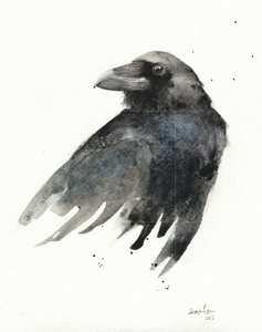 Watercolor 8"x10" Common raven