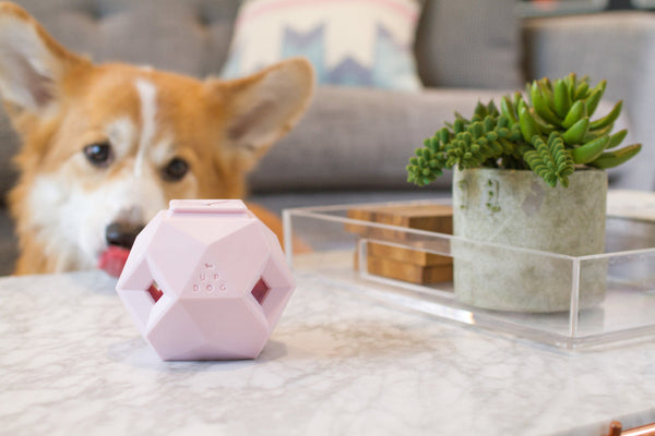 The Odin -- Modern Interactive Puzzle Dog Toy