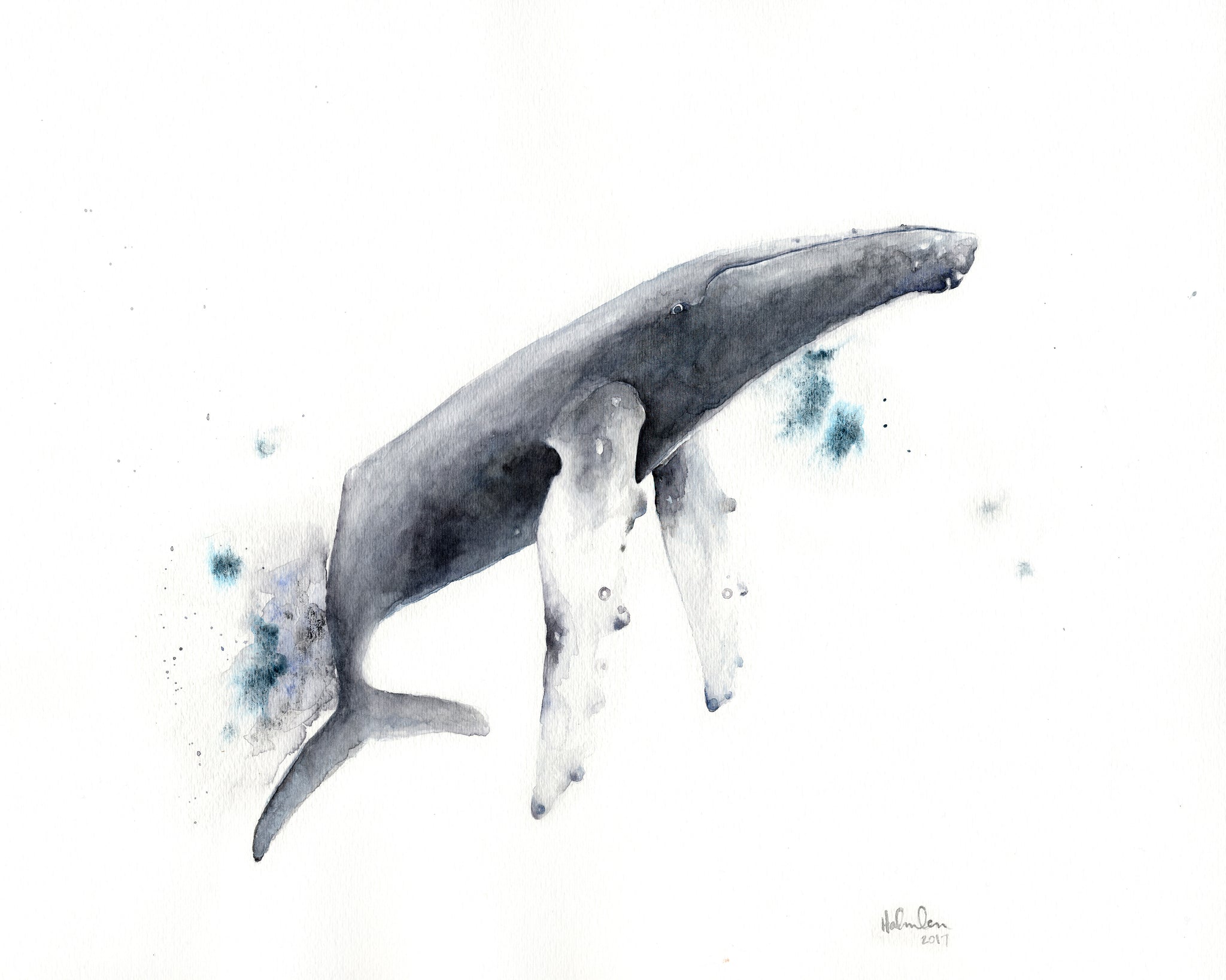 Watercolor 8”x10” Humpback Whale II