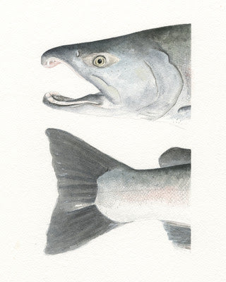 Watercolor Heads and Tails- Silver