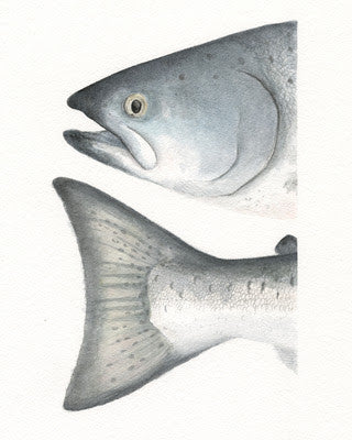 Watercolor Heads and Tails- King