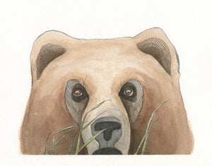 Watercolor Peek-a-Bear