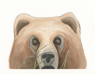 Watercolor Peek-a-Bear