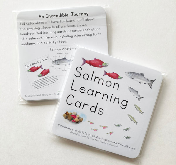 Tiny Nest Studio Learning Cards